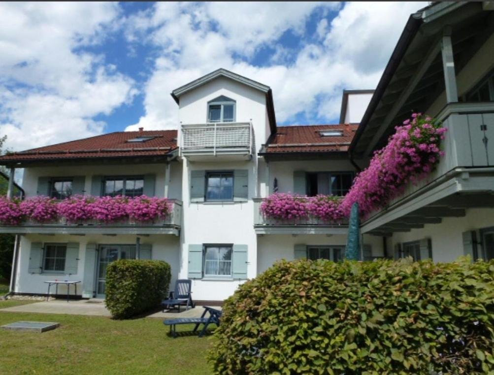 Ferienwohnanlage Bruennstein Wohnung 54 奥博奥多夫 外观 照片